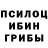 Галлюциногенные грибы MAGIC MUSHROOMS Thomas Kenny