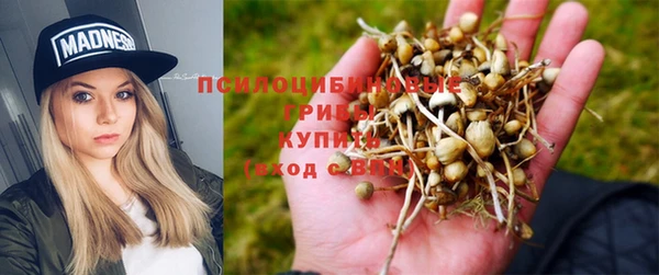 бошки Абаза