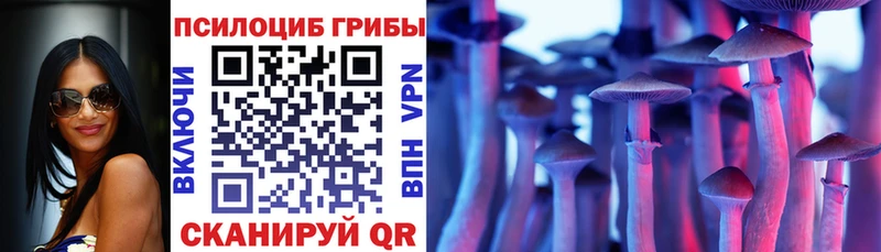 наркотики  Анадырь  Псилоцибиновые грибы Psilocybe 